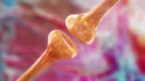 Ренгалин противокашлевое действие