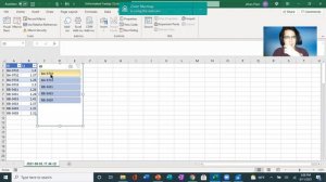 Formatting, and Copy and Pasting through Excel Visual Basic For Applications