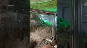 ИМАМ МАХДИ ВОЗЛЕ САФА И МАРВА. СУБХАНАЛЛАХ