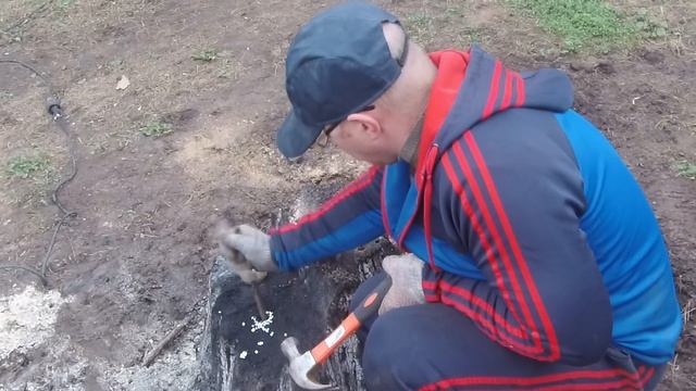 Как избавиться от пней на участке