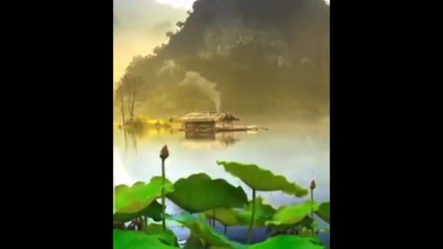 Grupo av7 - Santa Cecilia 2021 смотреть онлайн