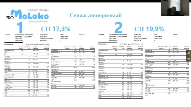 Заготовка основных кормов: тритикале, люцерна, кукуруза. Презентация ProMoloko. смотреть онлайн