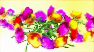 Цветочный венок 2 футаж