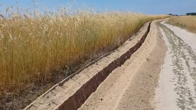 Траншея под оптоволокно.  ВОЛС.  Траншеекопатель с экскаваторной установкой.