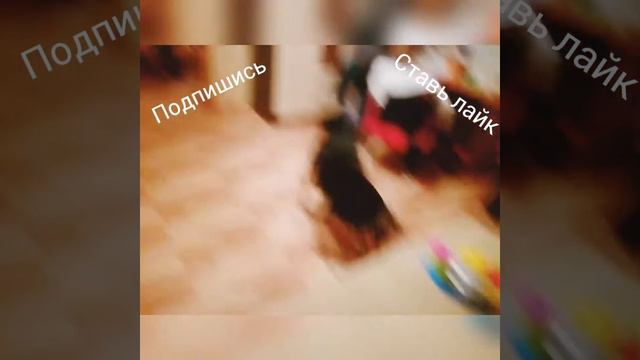 Что надо делать когда у папы днюха смотреть онлайн