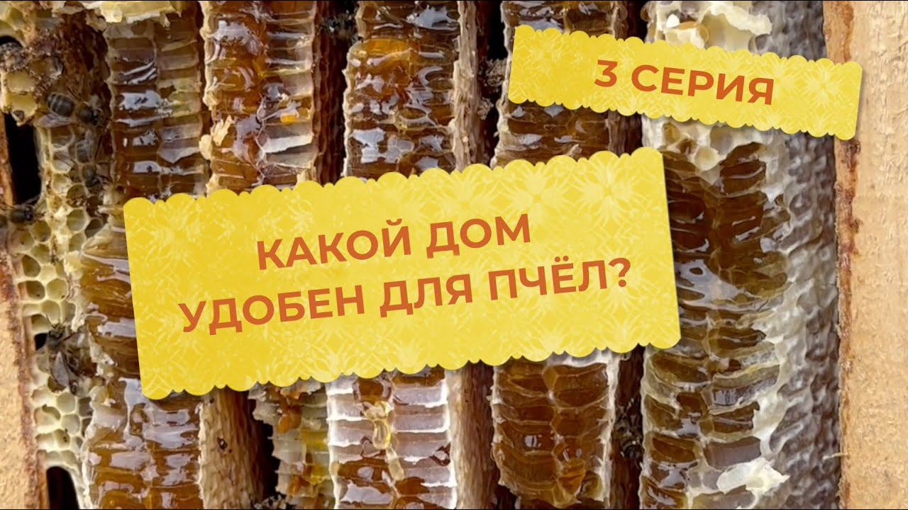 3 серия. Какой же дом удобен для пчёл?