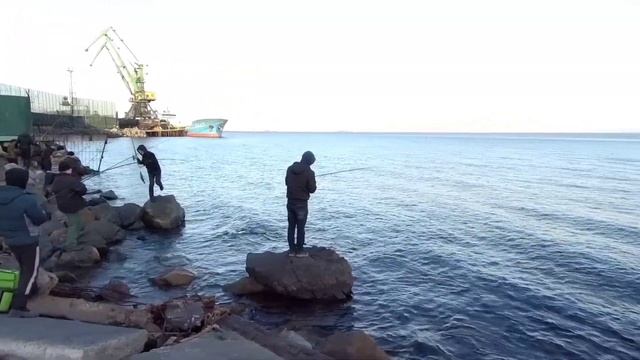 Минтай прёт, как с пулемёта! Морская рыбалка в приморье. #активныйотдых #рыбалка #минтай #море