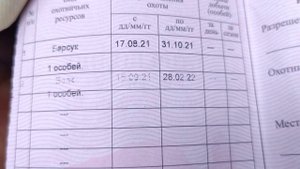 Охота на барсука 2021( ч.1)