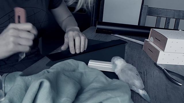 Rinzler by FAT - Making a RGB LED Rinzler sign with parrotlet 'Pixel' смотреть онлайн