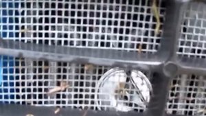 МТЗ 82 И ПОКАТУШКИ ПО ВОДЕ