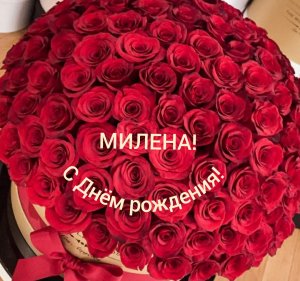С Днём рождения, Милена!