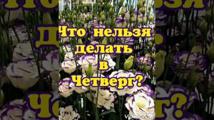 Что нельзя делать в Четверг?