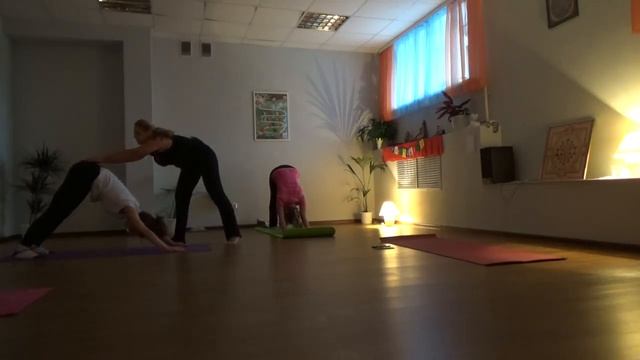 Утренняя йога в студии йоги "Кошка" . Преподаватель Людмила Касьяненко смотреть онлайн