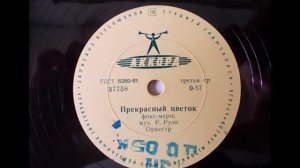 Оркестр – Прекрасный цветок (фокс-марш) (1961)
