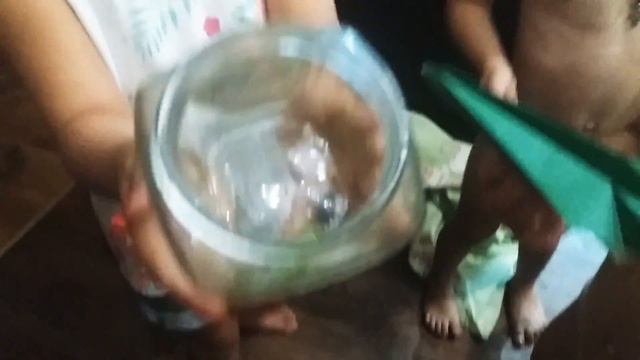 Богомол залетел на болкон!!!! смотреть онлайн