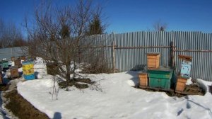 Зимовка окончена 10.03.22г