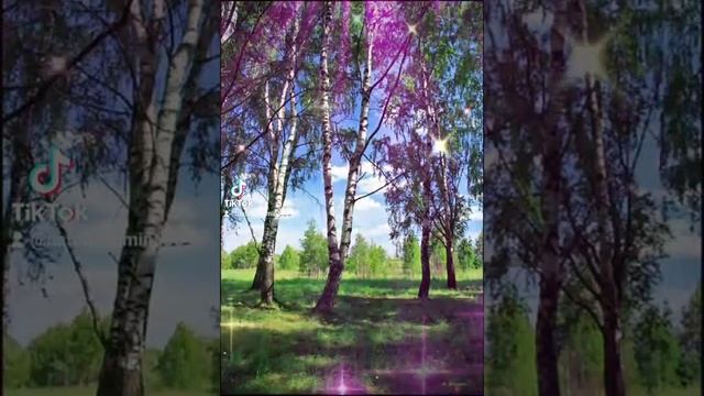 Снится мне деревня смотреть онлайн