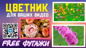 Футажи Цветник из футажей для ваших проектов и видео