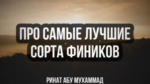 Про самый лучшие сорта фиников. Ринат Абу Мухаммад