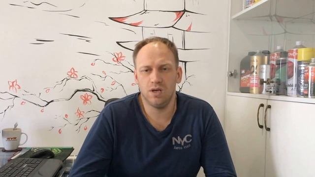 Скрип тормозных колодок не всегда от самих колодок. Примеры из практики. #тормозныеколодки