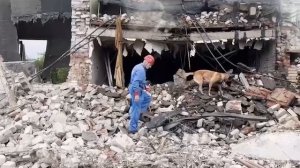 ⛑️ Спасатели с собаками приступили к разбору завалов после взрыва в Сергиевом Посаде

6 человек числ
