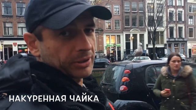 Голландский уикенд или Олег и селёдка смотреть онлайн