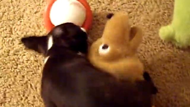 scooter at 3 months смотреть онлайн