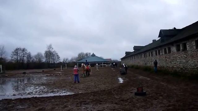 Конный клуб "Родина" смотреть онлайн