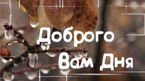 Добрый День! Пусть День Будет Тихим и Спокойным!