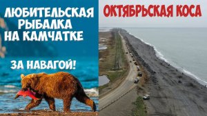К Охотскому морю за навагой