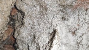 Почему в санузле пахнет канализацией? что делать? проблема с вентиляцией | ремонт в хрущевке