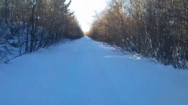 Вездеход Мозай , зимняя дорога. смотреть онлайн