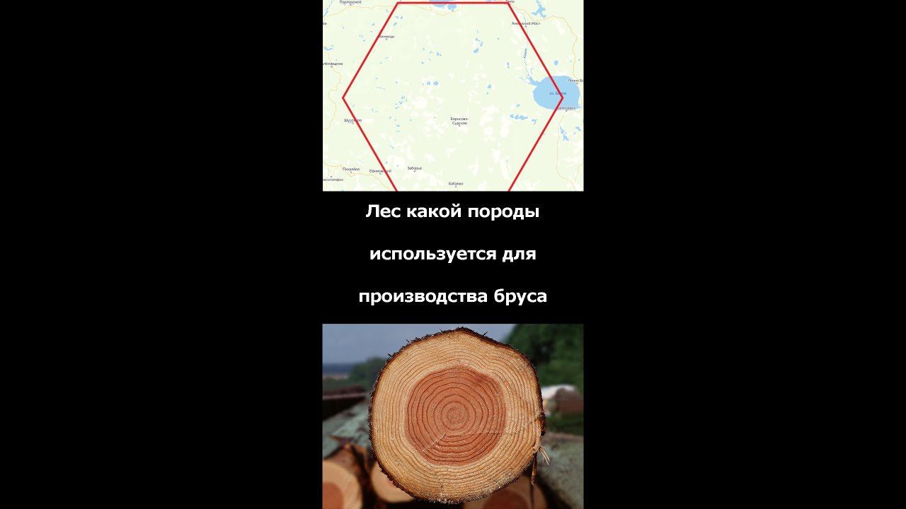 Какое дерево используется для производства бруса?