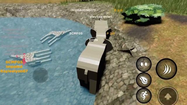 Playbox safari roblox смотреть онлайн