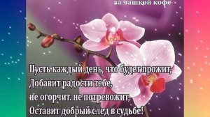 Прекрасного настроения и хорошего дня !