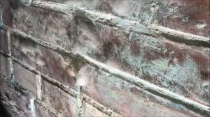 Грибок или высолы на кирпичной кладке подвала?