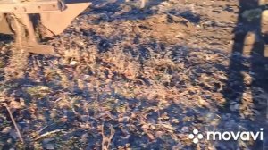 Трактор т-40. Осенняя вспашка  огорода