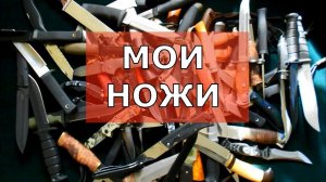 Мои ножи!
