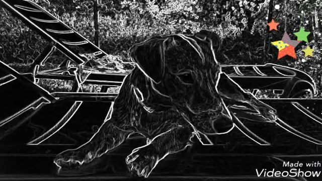 Прикольные фото часть 6 смотреть онлайн