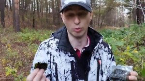 Пробуем чипсы из морской капусты | Фикспрайс
