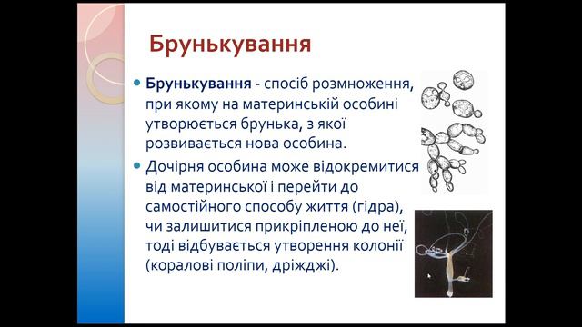 Репродукція та розвиток смотреть онлайн