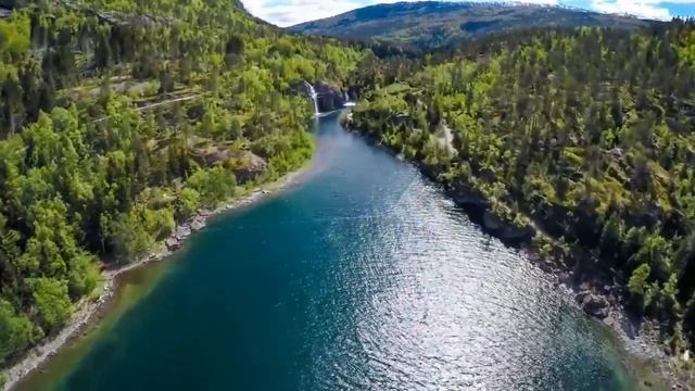 Концентрация внимания NikOsho