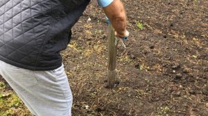 Сажалка для рассады, картофеля и других овощей, распаковка  с испытанием в поле.