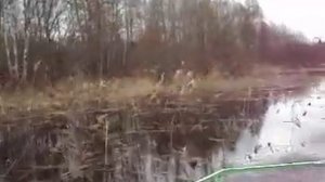 Самый простой мотор-болтоход