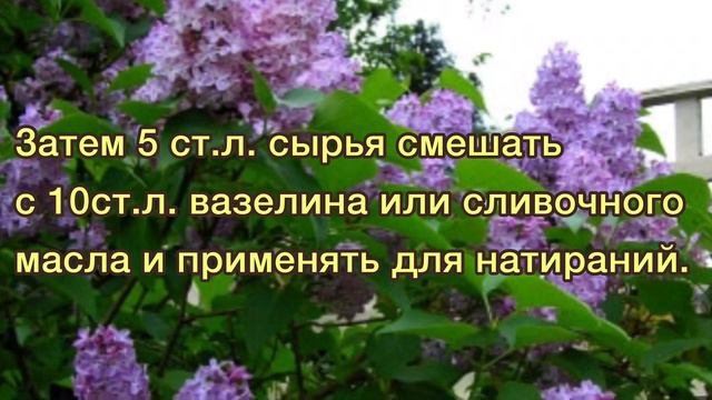 Лечим суставы
