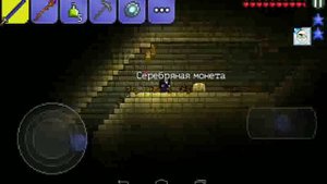 Где найти ковёр-самолёт в Terraria