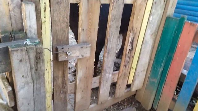 Сафари парк Краснодар