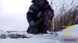 Ловля ратана на сало!!! 🐡