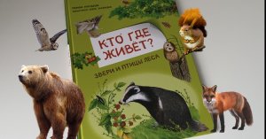 Кто где живет? Звери и птицы леса