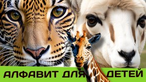 Изучаем АЛФАВИТ и ЖИВОТНЫХ | Русская азбука с животными для малышей